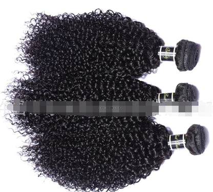 Human Hair Wigs, Malaysian Hair Extensions and Wigs